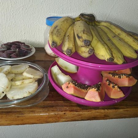 Pousada Shalom E Hostel Holly Land Santo Amaro do Maranhao Экстерьер фото