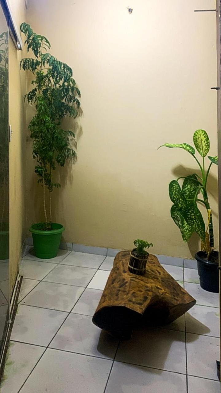 Pousada Shalom E Hostel Holly Land Santo Amaro do Maranhao Экстерьер фото