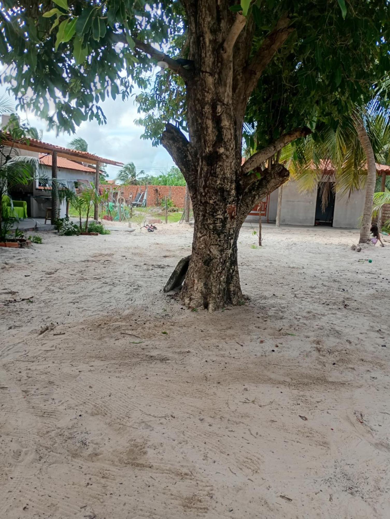Pousada Shalom E Hostel Holly Land Santo Amaro do Maranhao Экстерьер фото