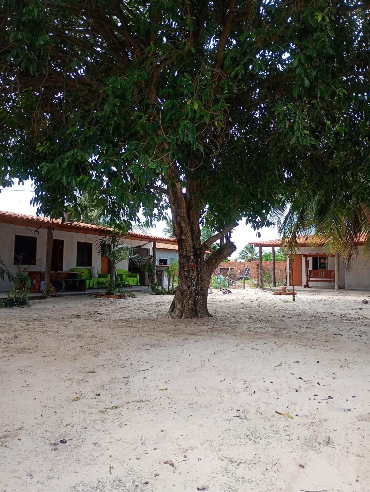 Pousada Shalom E Hostel Holly Land Santo Amaro do Maranhao Экстерьер фото