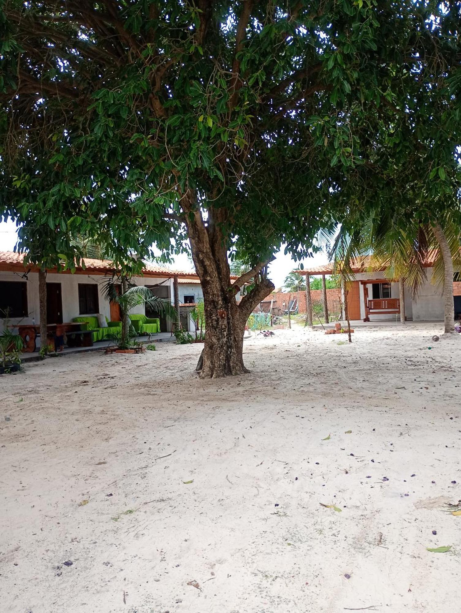 Pousada Shalom E Hostel Holly Land Santo Amaro do Maranhao Экстерьер фото
